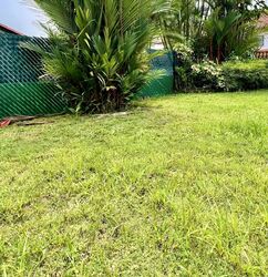 Raffles Park (D11), Detached #610247431